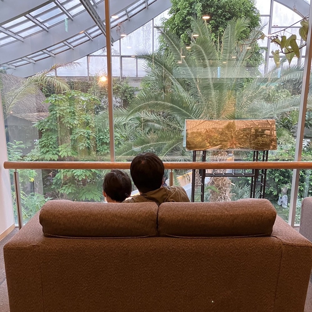 代表者イメージ